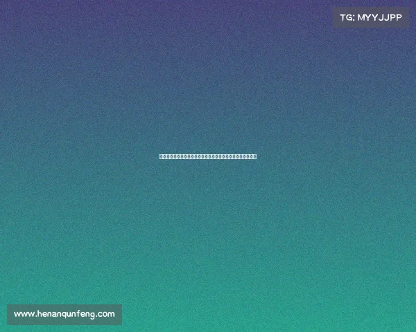 城市赛要求、城市申办大型赛事全流程解析与核心步骤详解指南